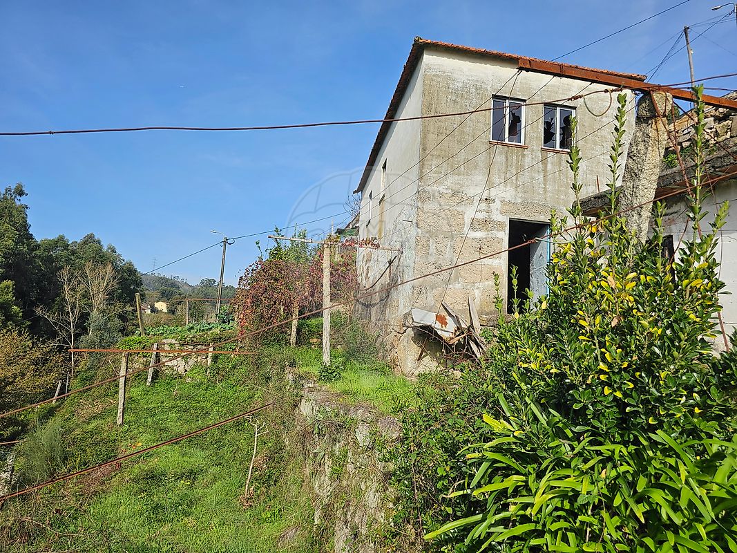 listing 120781092-207 picture-0