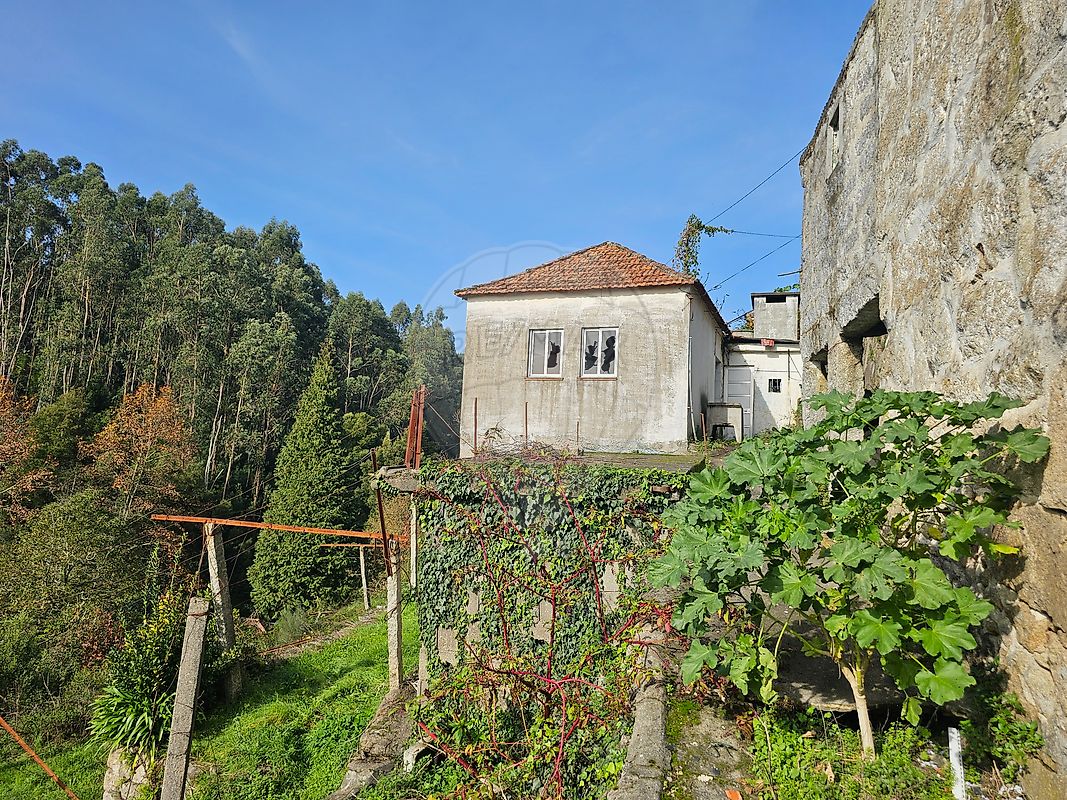 listing 120781092-207 picture-0