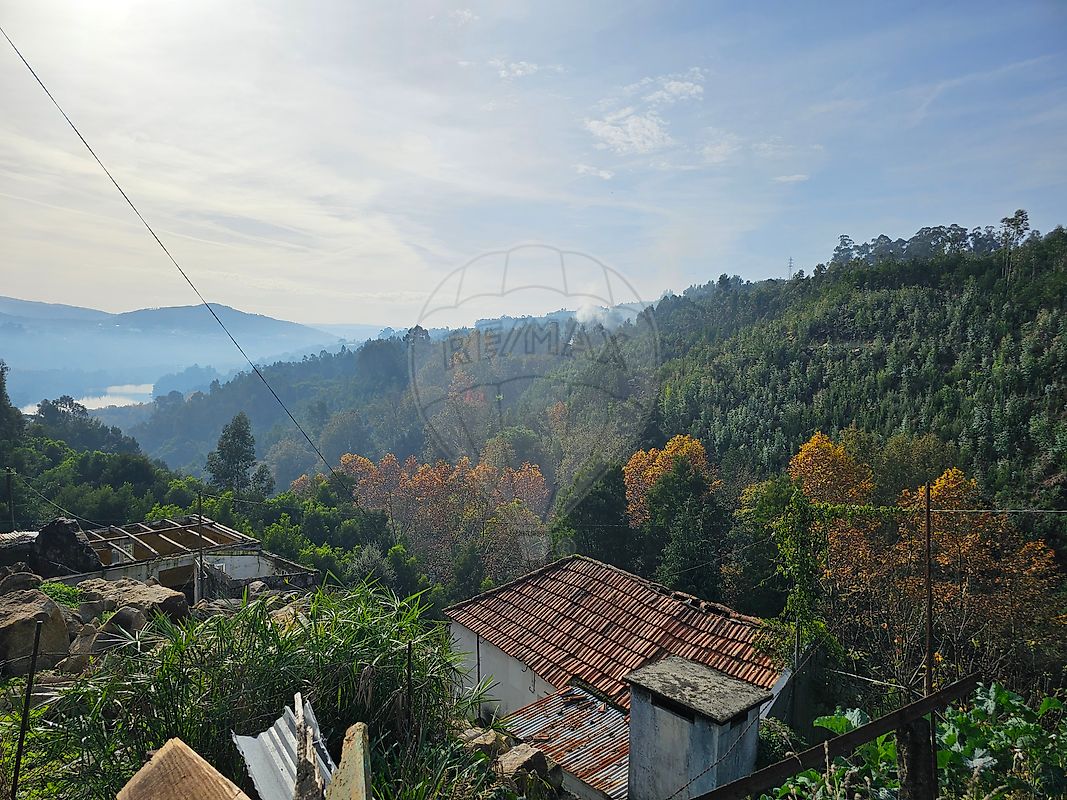 listing 120781092-207 picture-0