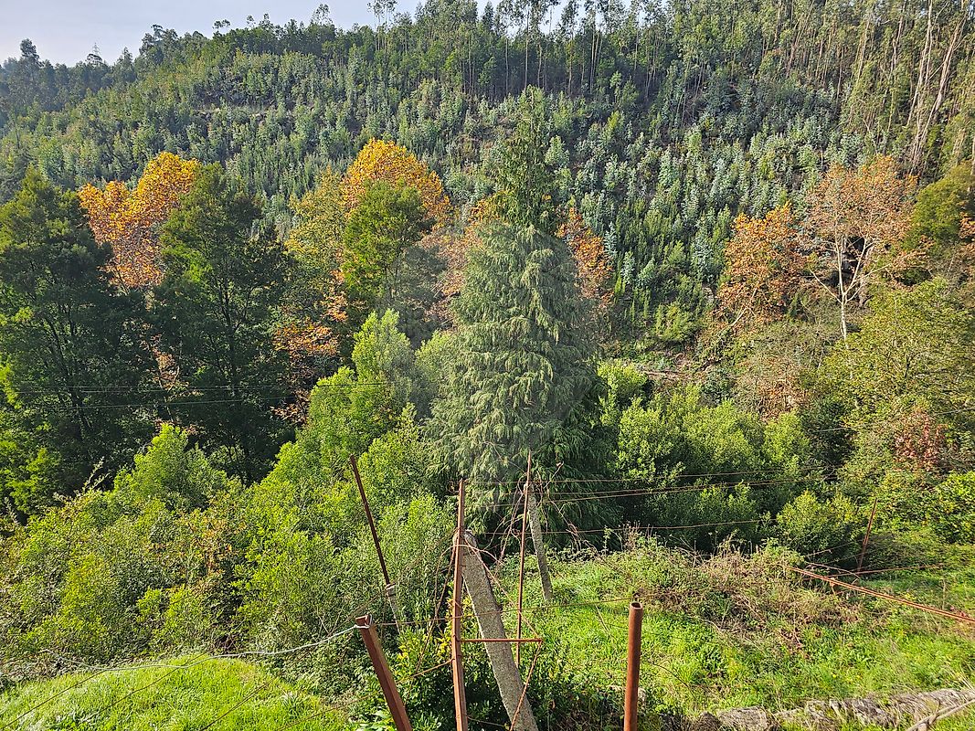 listing 120781092-207 picture-0