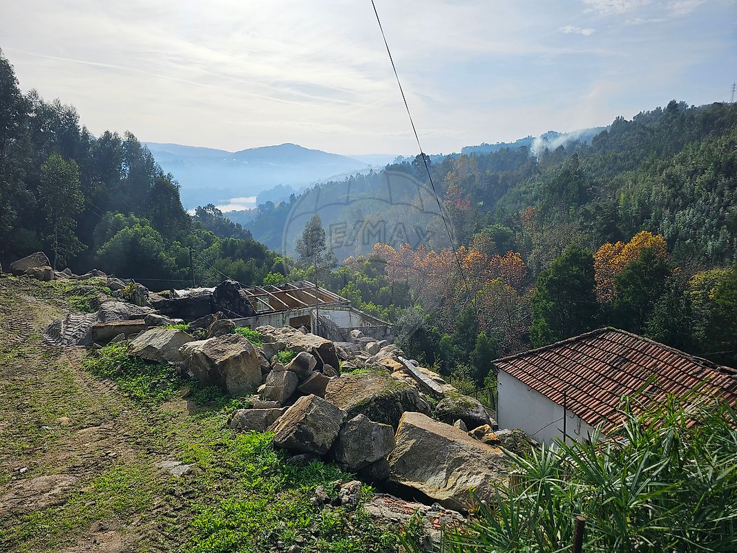 listing 120781092-207 picture-0