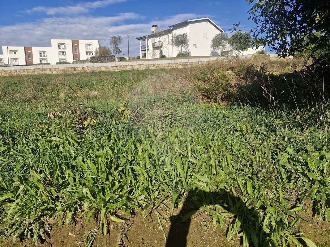 Terreno  para venda