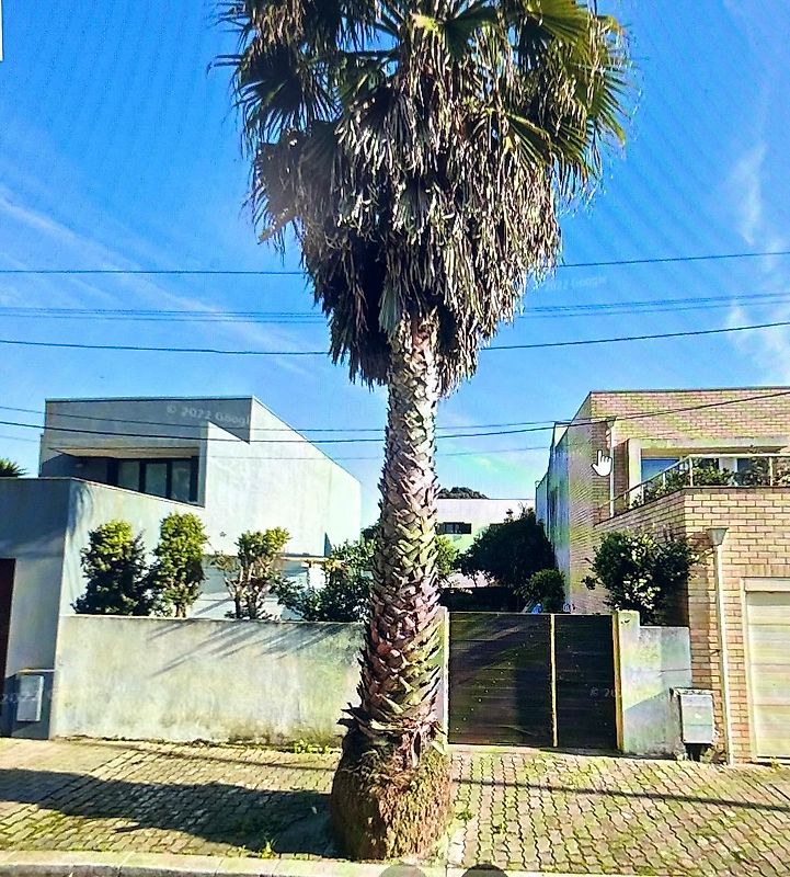 Land for sale in Matosinhos, Portugal — €219,900