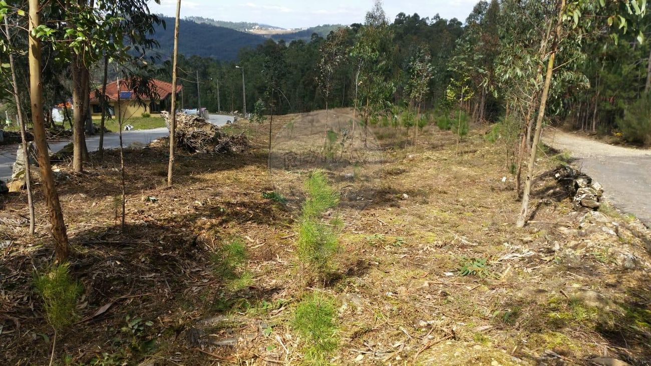 Terreno para venda