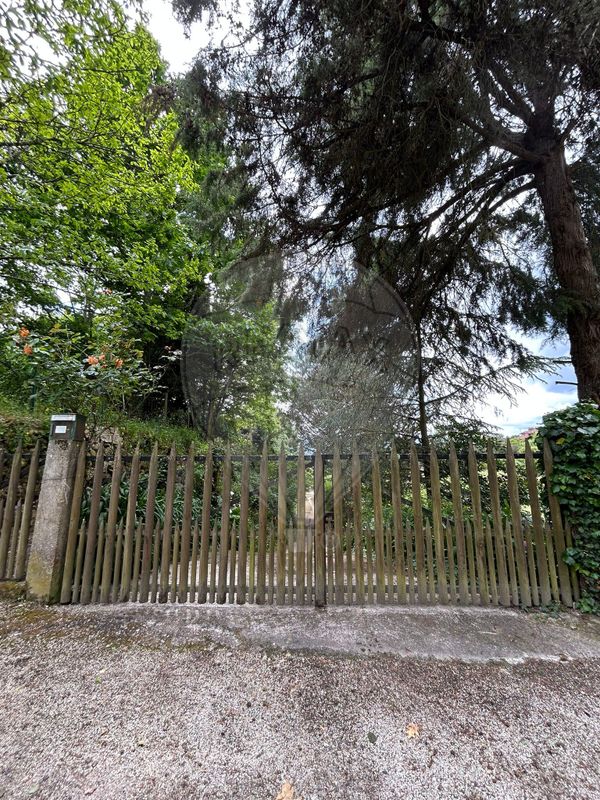 listing 120781186-66 picture-0