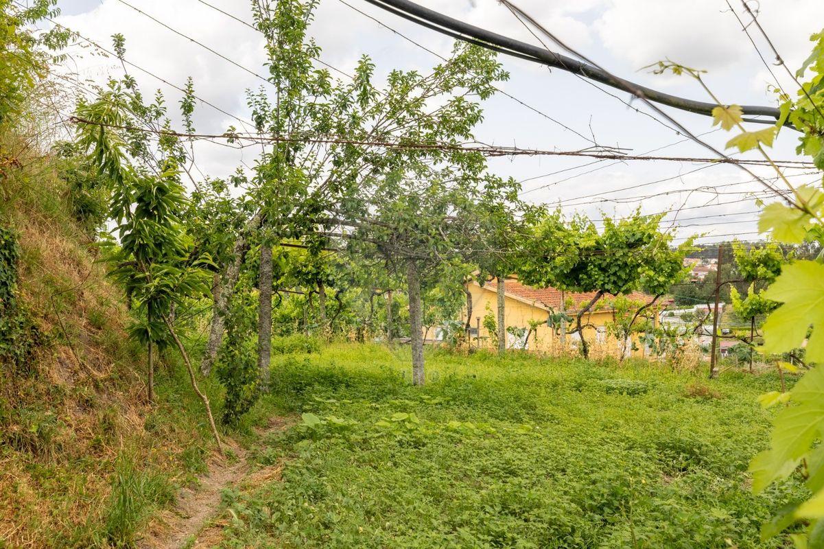 Terreno para venda