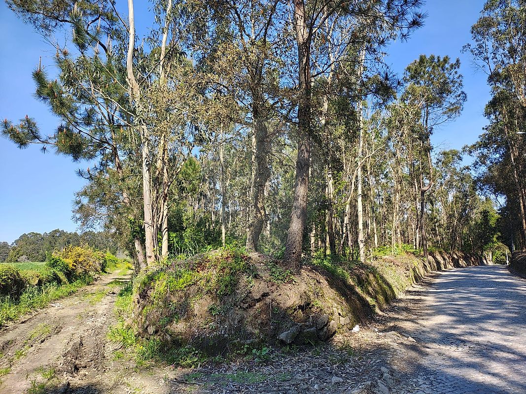 Terreno para arrendar em Vila do Conde