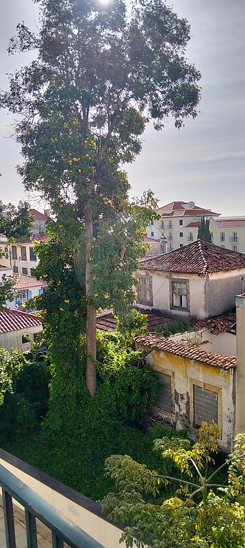Apartamento T3 à venda em Santa Maria Maior, Funchal — foto 18