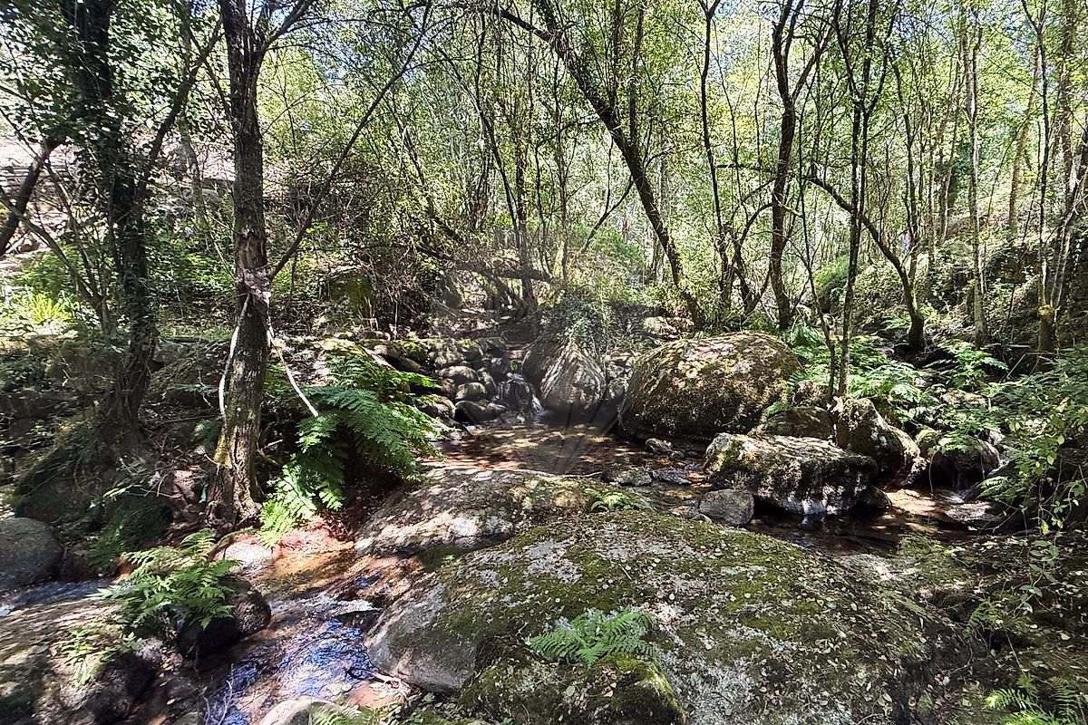 Terreno - Soalhães, Marco de Canaveses, Porto