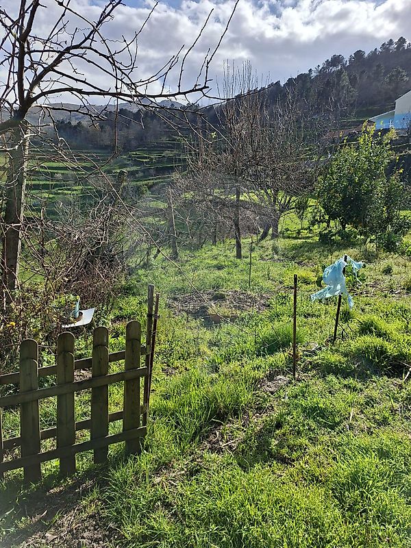 Moradia T1 à venda em Tendais, Cinfães — foto 14