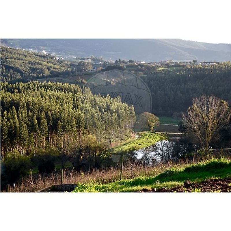 Terreno para venda