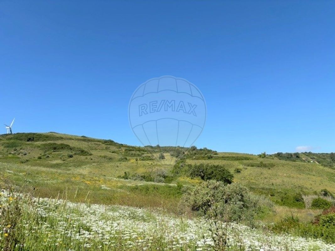 listing-picture-0