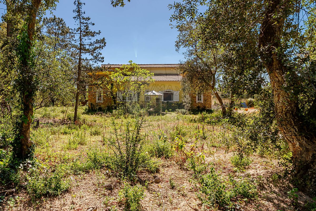 listing 120861286-50 picture-0