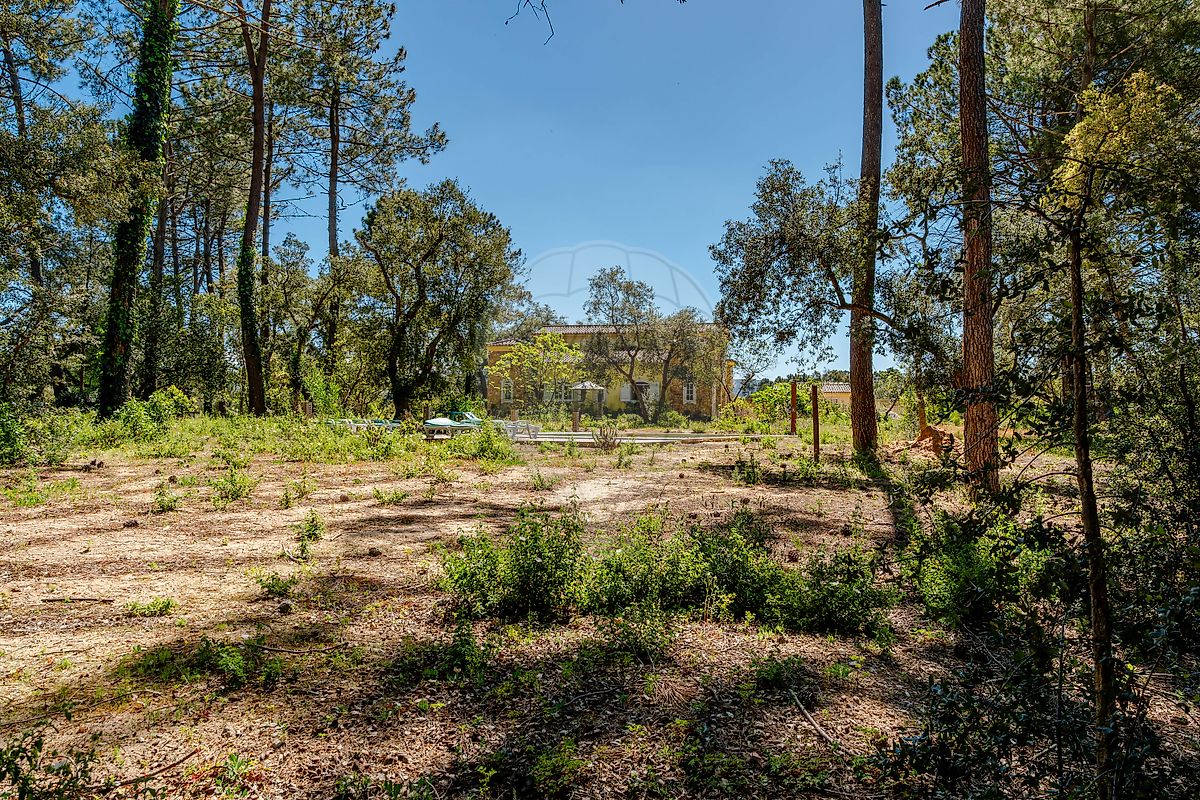 listing 120861286-50 picture-0