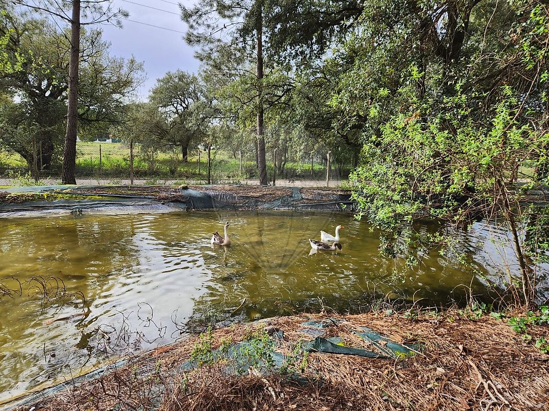 listing 120861286-50 picture-0