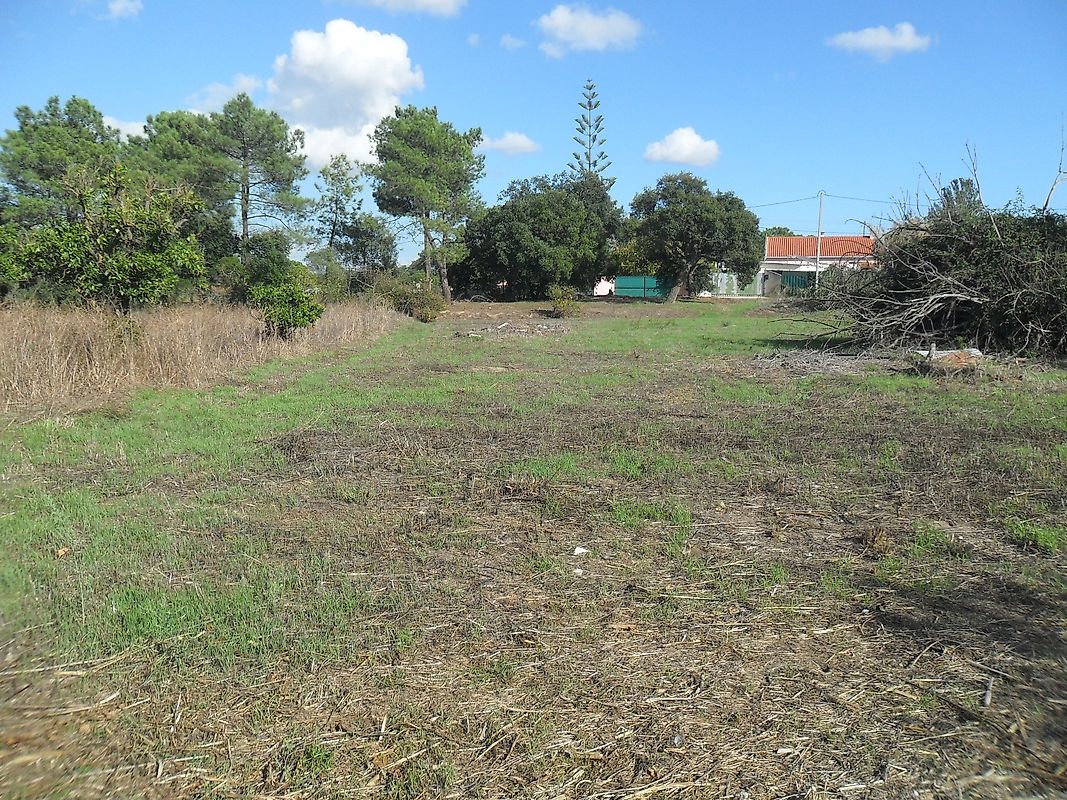 Terreno à venda em Cabeço Verde