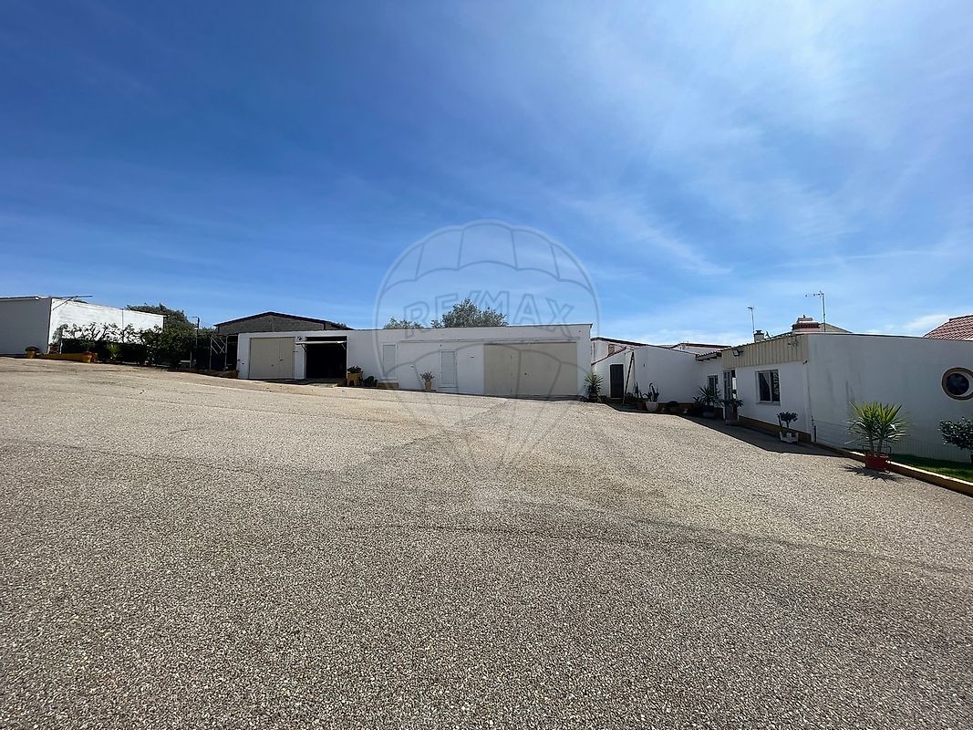 listing-picture-0