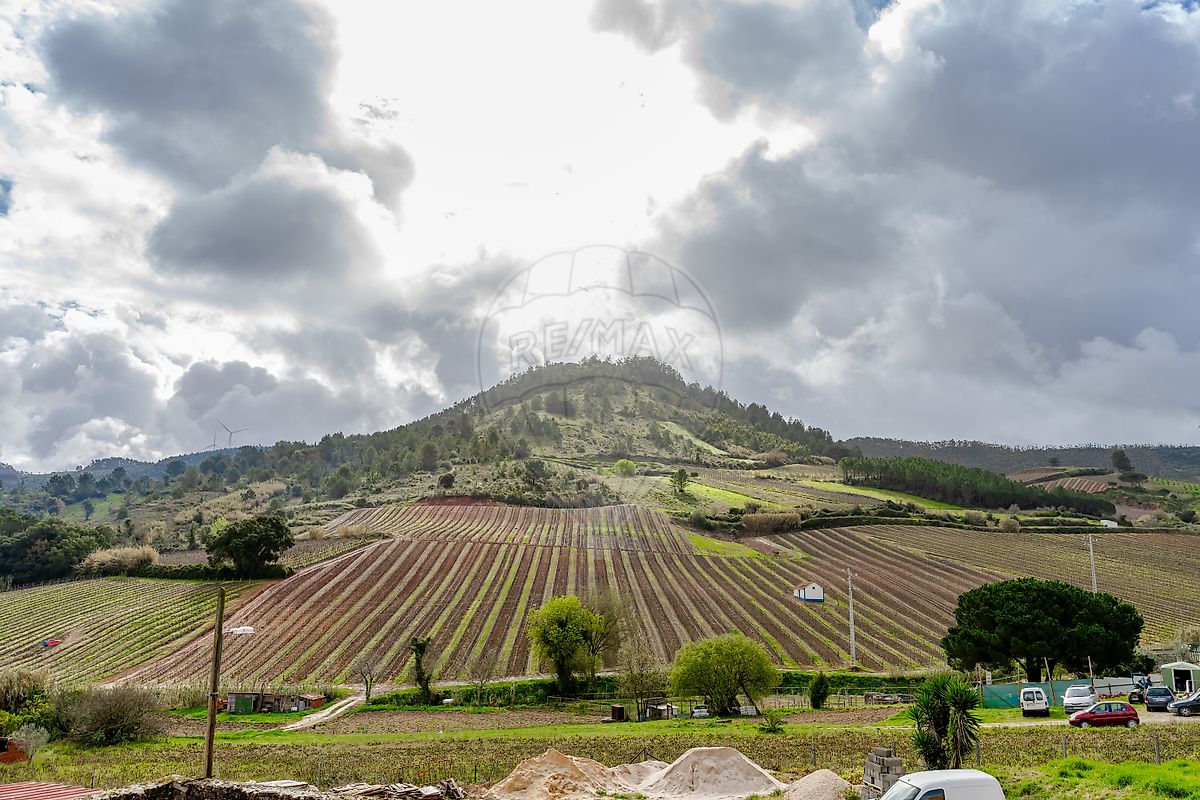 listing-picture-0