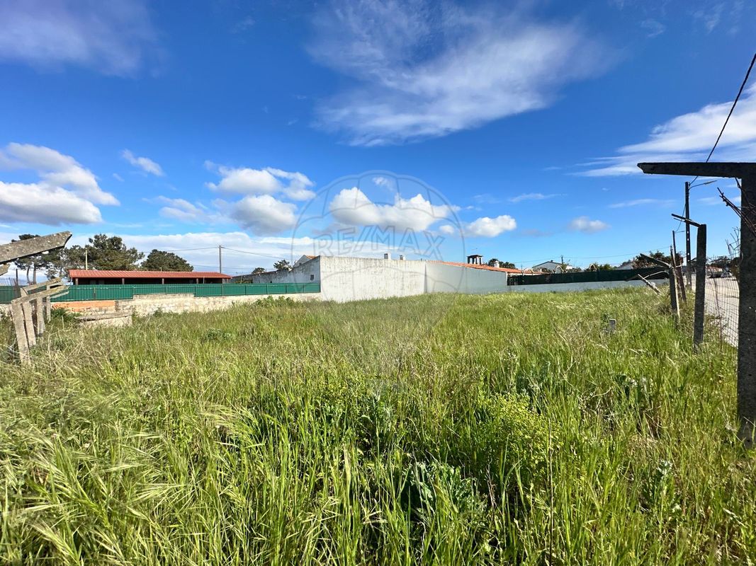 listing-picture-0