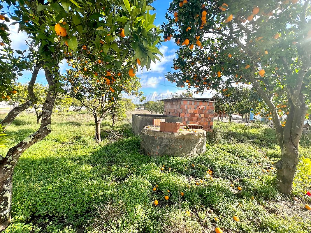 Terreno - Torrão, Alcácer do Sal, Setúbal