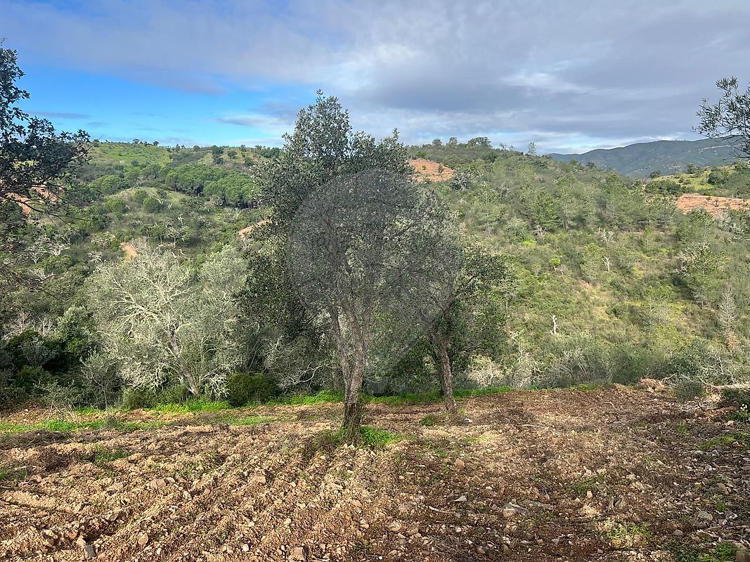 Moradia T0 à venda em Santa Catarina da Fonte do Bispo, Tavira — foto 12