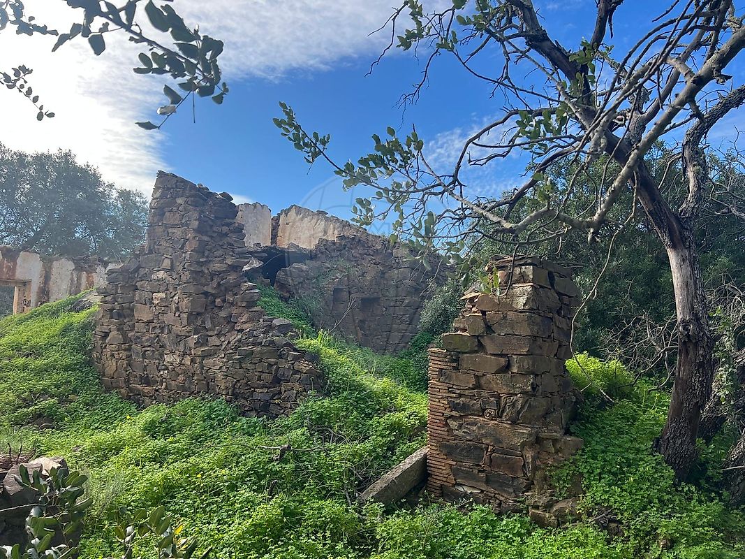 Moradia T0 à venda em Santa Catarina da Fonte do Bispo, Tavira — foto 8