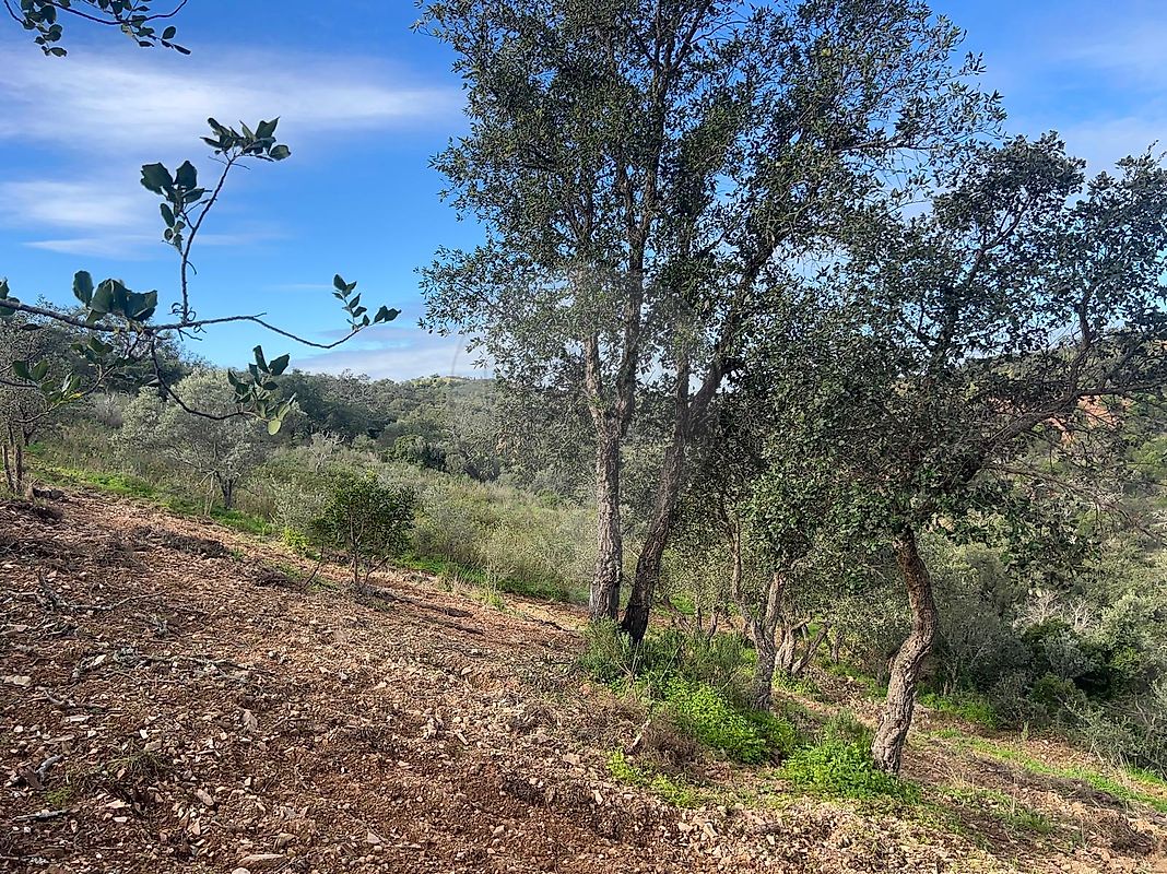 Moradia T0 à venda em Santa Catarina da Fonte do Bispo, Tavira — foto 10