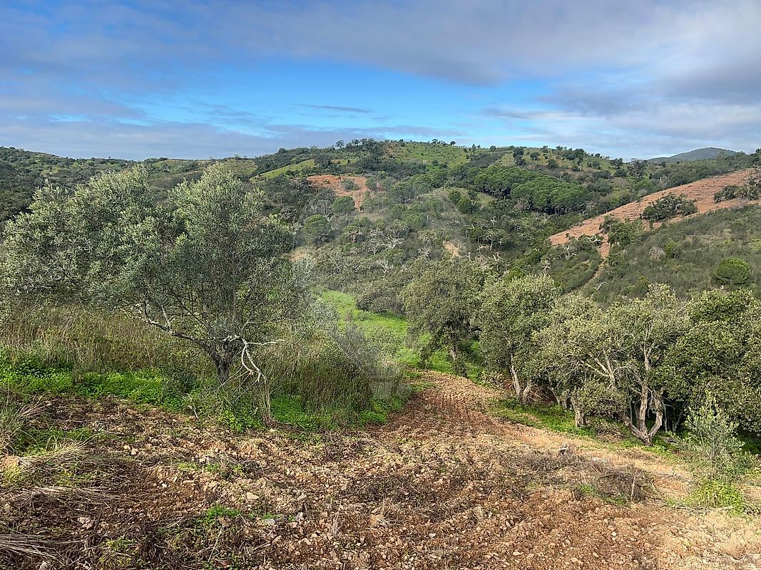 Moradia T0 à venda em Santa Catarina da Fonte do Bispo, Tavira — foto 11