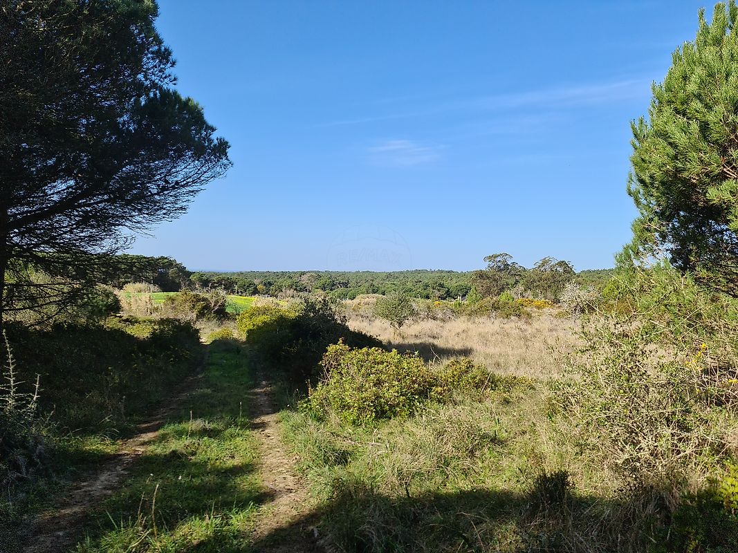 listing 120881241-103 picture-0