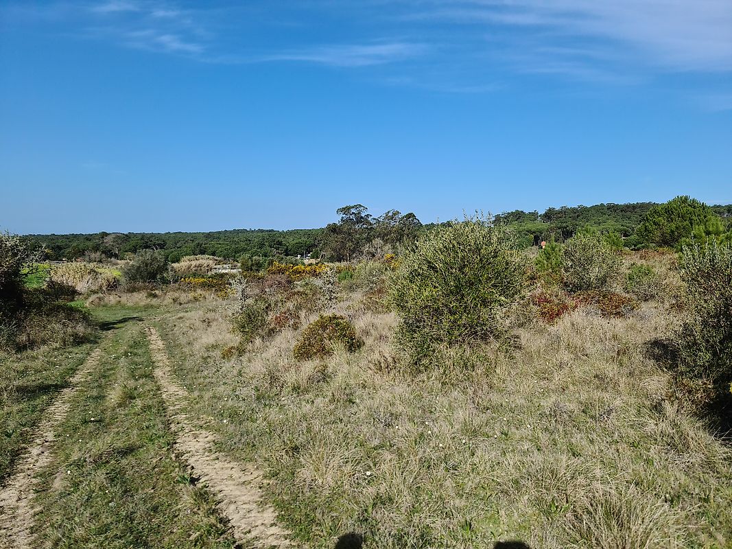 listing 120881241-103 picture-0