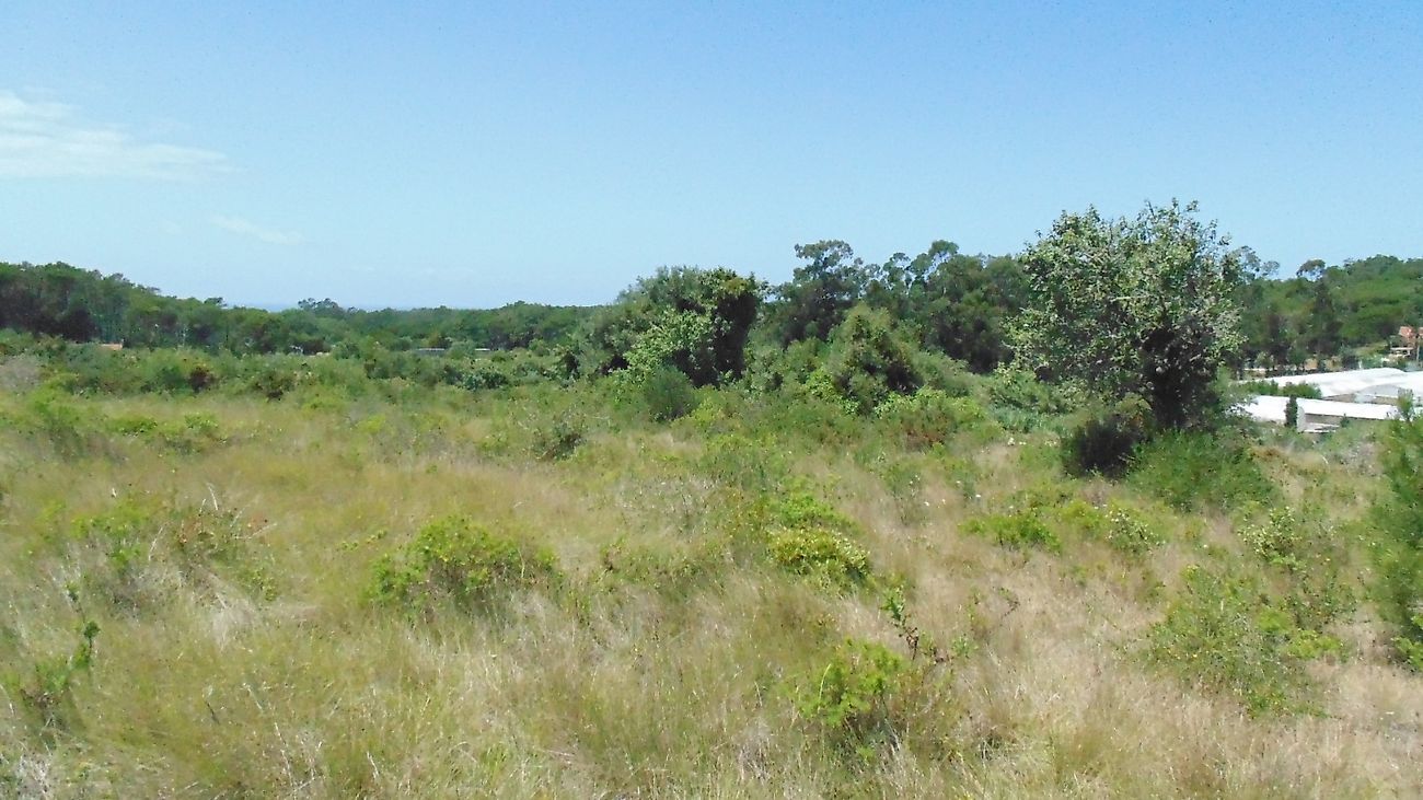 listing 120881241-103 picture-0