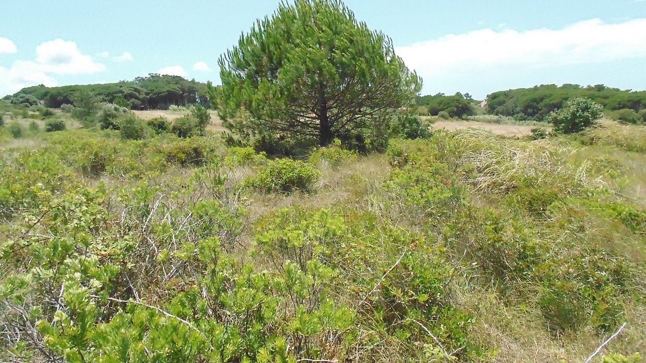 listing 120881241-103 picture-0