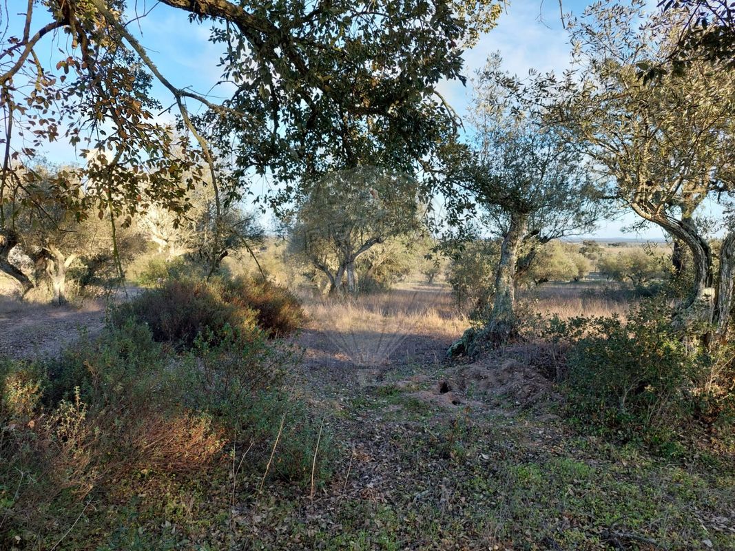 TODO