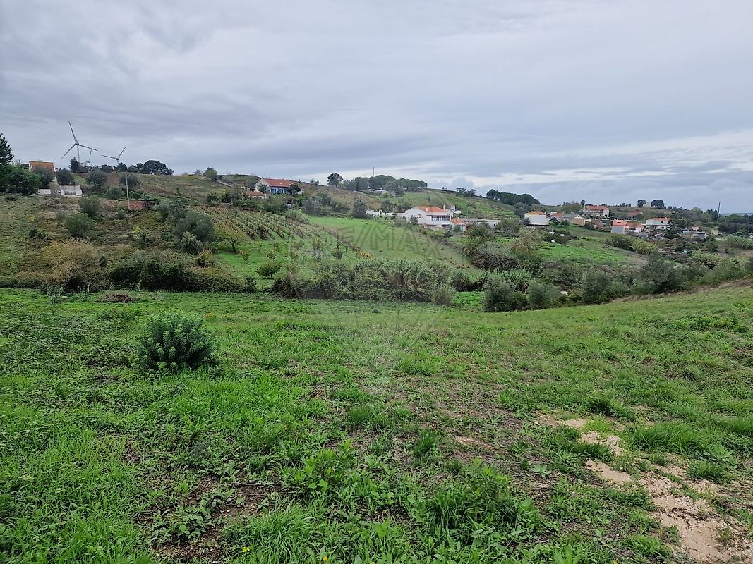 listing-picture-0