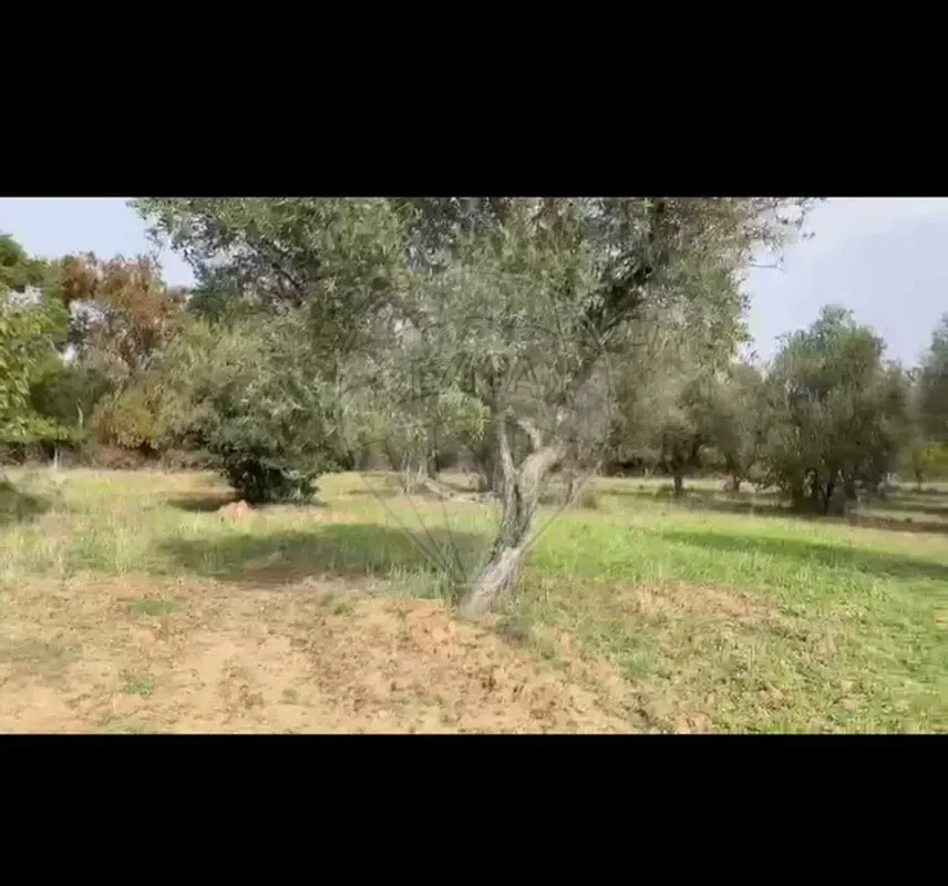 TODO