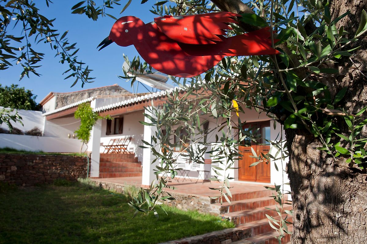 Moradia T6 à venda em Mértola
