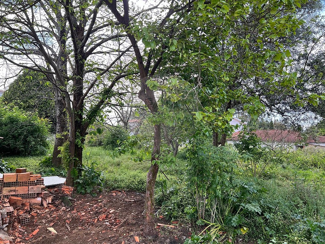 listing 120931340-61 picture-0