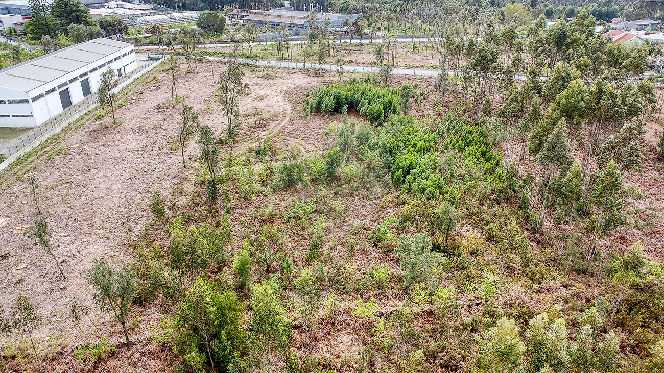 Land for sale in Vila Nova de Gaia, Portugal — €550,000