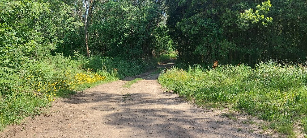 listing 120931443-12 picture-0