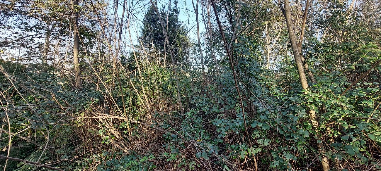 listing 120931443-12 picture-0