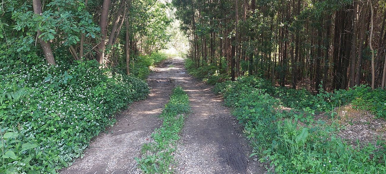 listing 120931443-12 picture-0