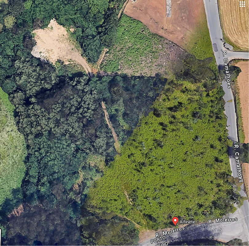 listing 120931443-12 picture-0