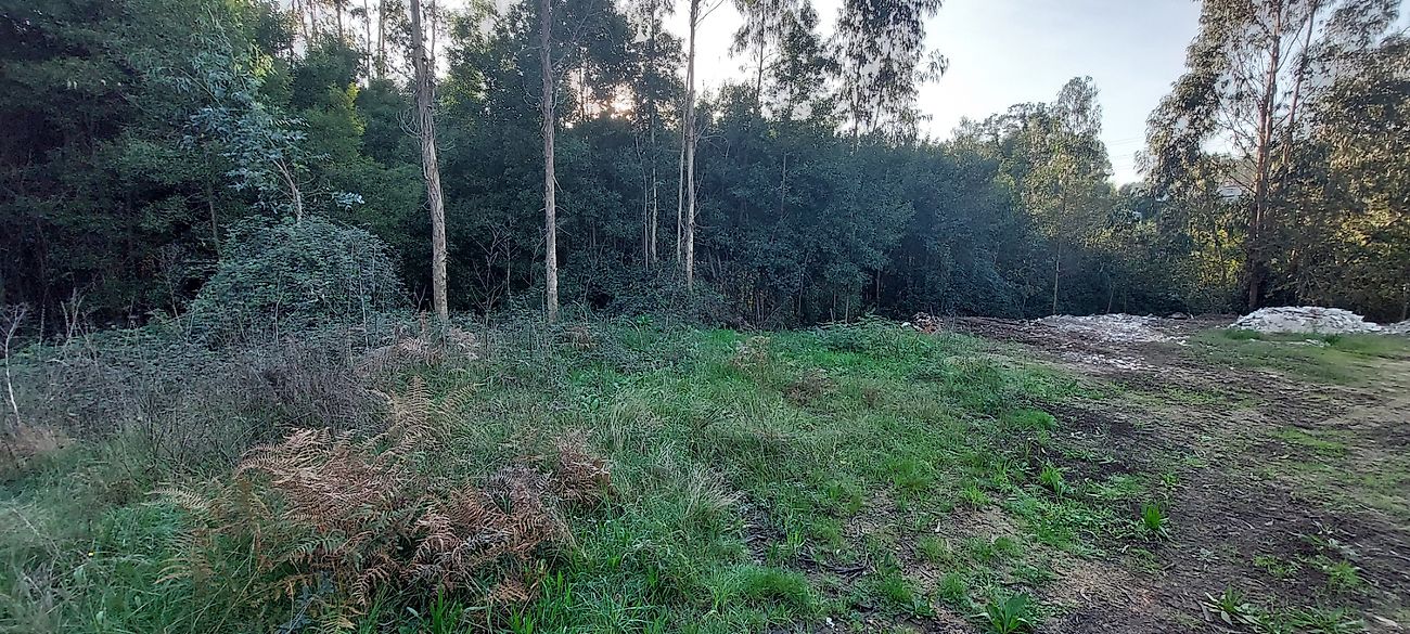 listing 120931443-12 picture-0