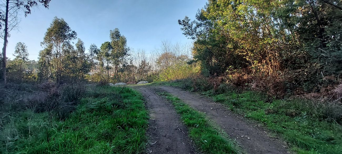 listing 120931443-12 picture-0