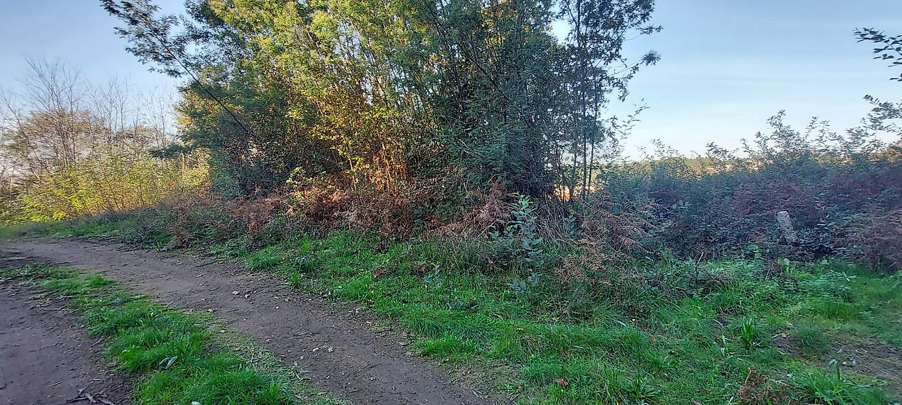 listing 120931443-12 picture-0