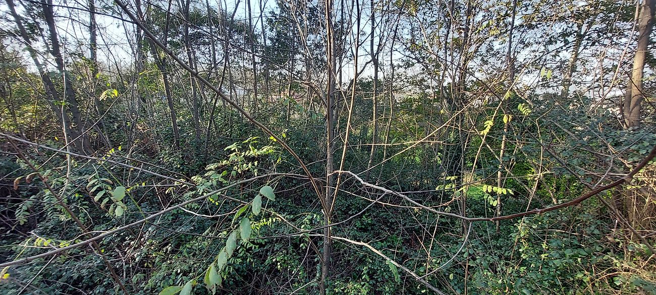 listing 120931443-12 picture-0