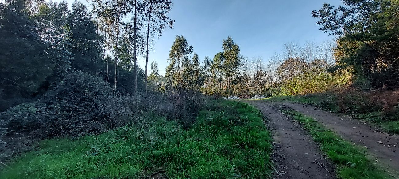 listing 120931443-12 picture-0