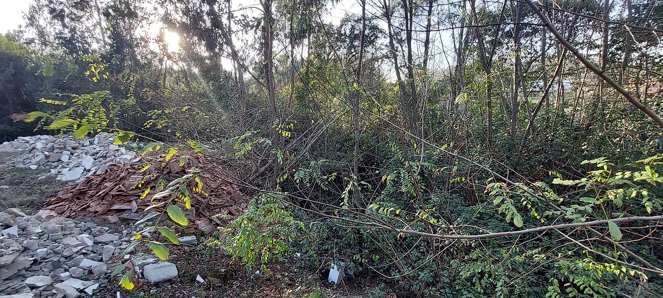 listing 120931443-12 picture-0