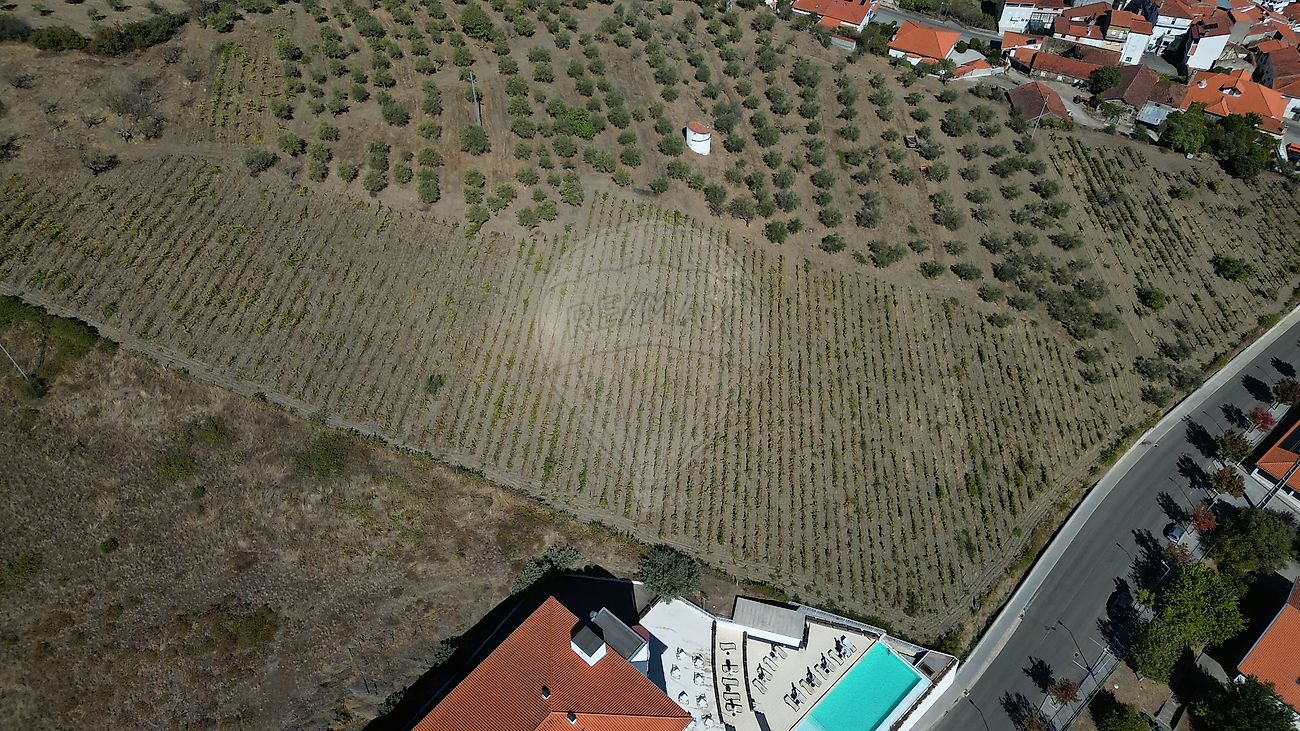 Terreno - Freixo de Espada à Cinta e Mazouco, Freixo de Espada à Cinta, Bragança