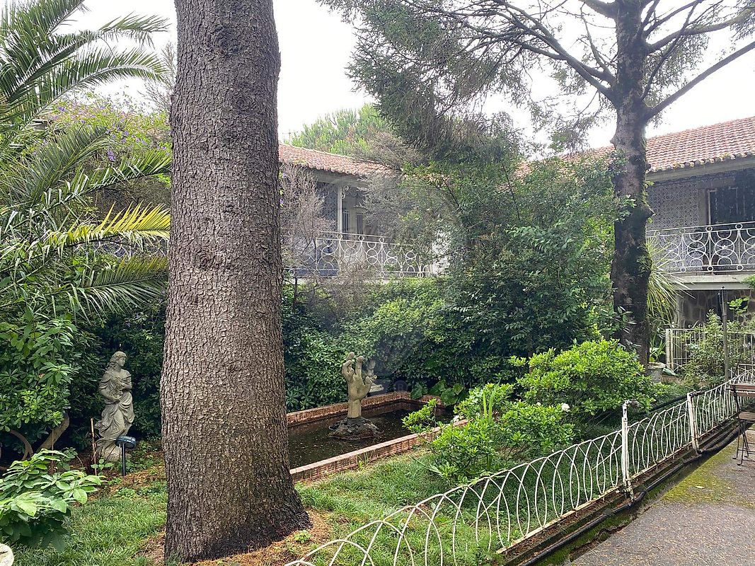 Quinta T5 para venda